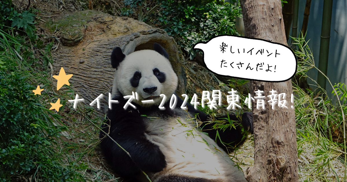 ナイトズー2024関東情報!